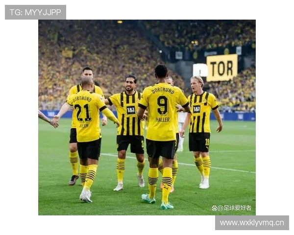 多特蒙德战术失衡问题显现,体系危机已对争冠形势产生影响 多特蒙德战术失衡问题显现,体系危机已对争冠形势产生影响