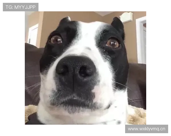 季丽萍家里送的礼物也太壕了，普通人看到肯定眼馋哭了！